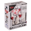 Vardem Oyuncak GGE-606-29 Kumandalı Işıklı Dansçı İnteraktif Robot