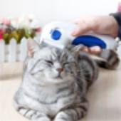 Kategori İçin Resim Kedi Bakım Ürünleri ve Aksesuarları