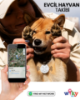 WİKY TAG Çocuk Smart Airtag Mavi - Akıllı Konum Takip Cihazı (APPLE UYUMLU)