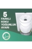 Air Wick Elektrikli Oda Kokusu ve Makina Kış Gülü