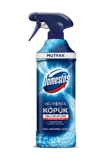 Domestos Köpük Gücü Çam Ferahlığı 450 Ml 