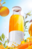 Wrapsol Smoothie Blender 300 ml Beyaz