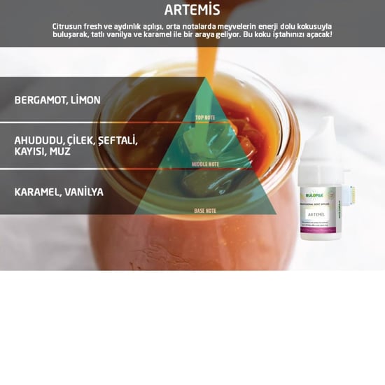 Rulopak Artemis Koku Kartuşu 100 ml (M5-M6)