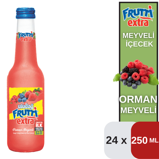 Uludağ 250 ML Frut.Ext.Orman Meyveli