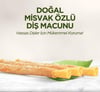 Eyüp Sabri Tuncer Misvak Özlü Diş Macunu 90 Ml