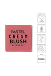 Pastel Profashion Cream Blush Allık 41