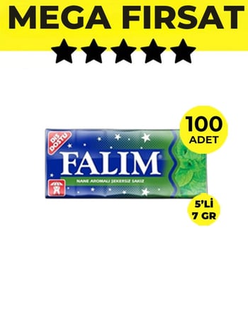 Falım Nane Aromalı Sakız (5'li 7gr x 100 Adet) Avantajlı Falım Paketi
