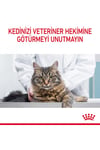 Royal Canin Hair&Skin Care 2 Kg Tüy ve Deri Sağlığı Yetişkin Kuru Kedi Maması