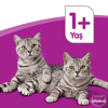 Whiskas Kuru Mama Tavuklu 1400 Gr