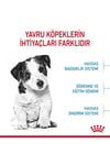 Royal Canin Mini Puppy 4 Kg Yavru Kuru Köpek Maması
