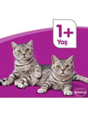 Whiskas Kedi Maması 85 gr Pouch Sığırlı