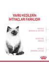 Royal Canin Kitten 4 Kg Yavru Kuru Kedi Maması (4-12 ay 2. dönem yavru kediler)