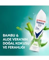 rexona, kadın deodorant, rexona  Kadın Bambu&Aloe Vera, rexona   Bambu&Aloe Vera, toptan deodorant, toptan kozmetik, 150 ml deodorant