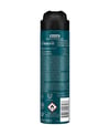 rexona, erkek deodorant, rexona Champions, toptan deodorant, toptan kozmetik, 150 ml deodorant