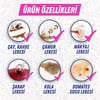 Vanish Oxi Action Çok Amaçlı Halı, Koltuk Ve Evcil Hayvan Leke Çıkarıcı 500 ml