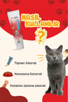 Petlook Multivitamin Kedi Maltı 115 GR, Kedi Malti, Kedi Ödülü ve Kedi Vitamini