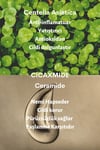 Dermal CICA x Mide Facial Cream Centella Asiatica ve Seramid Özlü