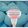 gillette, venus, kadın tıraş bıçağı, ağda, epilasyon, kadın tıraş seti, kadın tıraş makinesi, gillette venus tıraş bıçağı satın al, gillette venus tıraş bıçağı fiyat