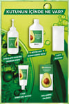 Garnier Nutrisse Yoğun Besleyici Kalıcı Krem Saç Boyası 8.13 Küllü Sarı
