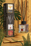 rivola, oda kokusu, reed diffuser, kamış oda kokusu, bambu oda kokusu, amber oda kokusu