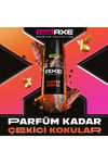 Axe Premium Collection Erkek Deodorant Copper Santal 150 ml
