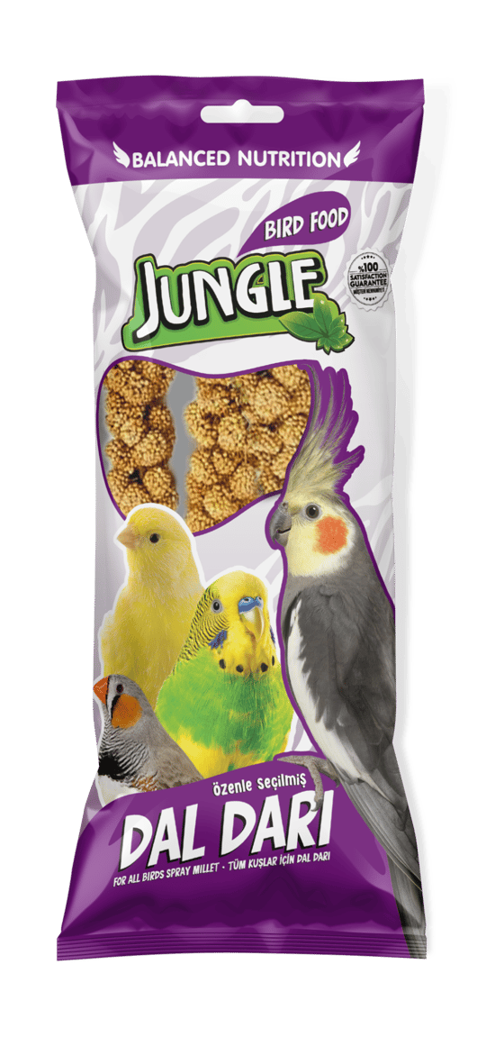 Jungle Doğal Dal Darı Jng-031