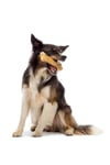 Eva & Walle Doğal Köpek Pres Kemiği Naturel 10'lu 21 cm Orta Irk Ve Büyük Irk Köpekler 150 gr