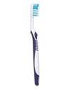 oral b, oralb, oral-b, diş fırçası, diş fırçası fiyatları, diş fırçası satın al, toptan diş fırçası, diş fırçası çeşitleri