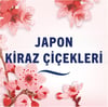 Febreze Japon Kiraz Çiçekleri 185 ml Hava Ferahlatıcı