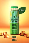 Diyete Destek Paketi (Ice Tea Cool Lime 12'li Şeker İlavesiz Soğuk Çay + Detox Tea)