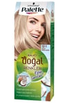 Palette Saç Boyası Kalıcı Renkler 12-1 Küllü Buzul Sarı Kadın Saç Boyası