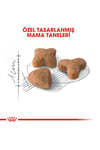 Royal Canin Sensible 33 15 Kg (Hassas Sindirim) Yetişkin Kuru Kedi Maması