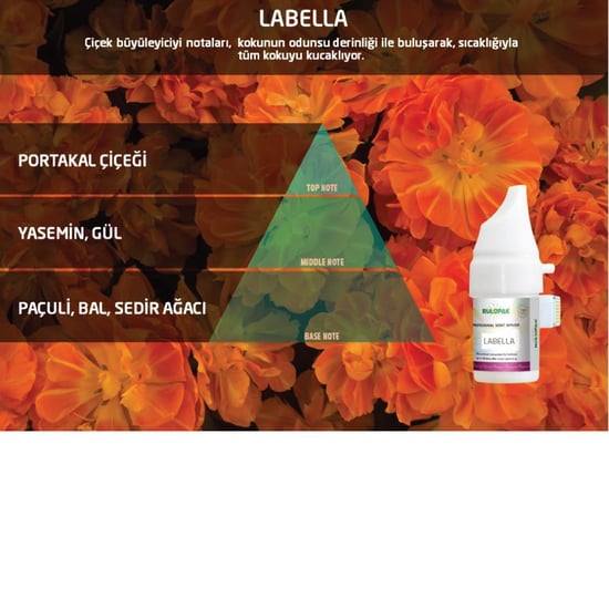 Rulopak Labella Koku Kartuşu 100 ml (M5-M6)