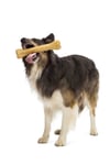 Eva & Walle Eva And Wall-e Doğal Köpek Pres Kemiği Beyaz 10' Lu 21cm Orta Irk Ve Büyük Irk Köpekler Için 150 Gr