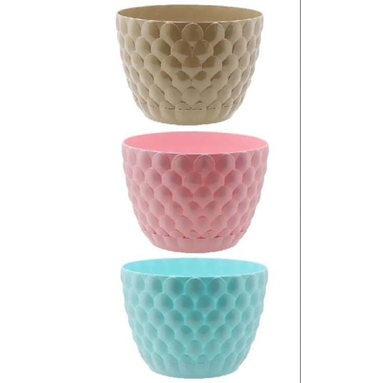 Alya Kaktüs Kozalak Renkli Saksı-0,15 Litre Mini Saksı-Farklı Renklerde