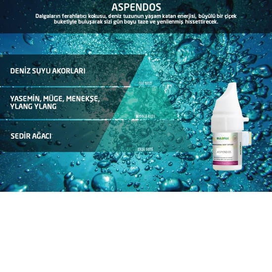 Rulopak Aspendos Koku Kartuşu 100 ml (M5-M6)