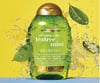 Ogx Teatree Mint Canlandırıcı Şampuan 385ml 