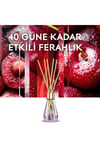 Glade Çubuklu Oda Kokusu Cherry Bloom 100 ml