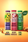 Ice Tea Soğuk Çay Şeker İlavesiz Deneme Paketi 250 ML X 24