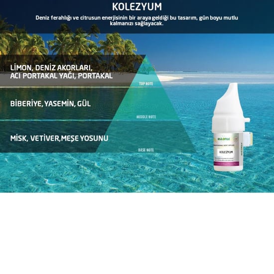 Rulopak 200509 377 Kolezyum Koku Kartuşu