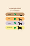 Eva & Walle Doğal Dana Gırtlak Stick Köpek Ödül Çubuğu 15cm | %100 Katkısız Çiğneme Çubuğu | Küçük, Orta & Büyük