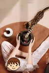 Kedi Tırmalama Oyuncağı, Sihirli Kedi Oyuncağı, Çıngıraklı Tırmalama Panosu, Kedi Oyuncağı
