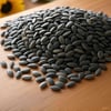 Online Kuruyemiş Dakota Ayçekirdeği Sade Kavrulmuş 1000 gram