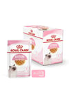 Royal Canin Kitten Jelly  85 gr X 12 Adet Yavru Kedi Yaş Maması