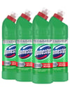 Domestos Yoğun Kıvamlı Çamaşır Suyu Dağ Esintisi 750 ml x 4'lü