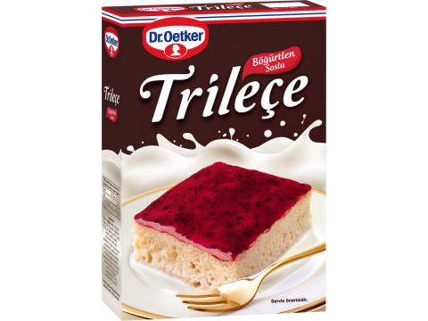 Dr. Oetker Trileçe 315 G - Böğürtlen Soslu