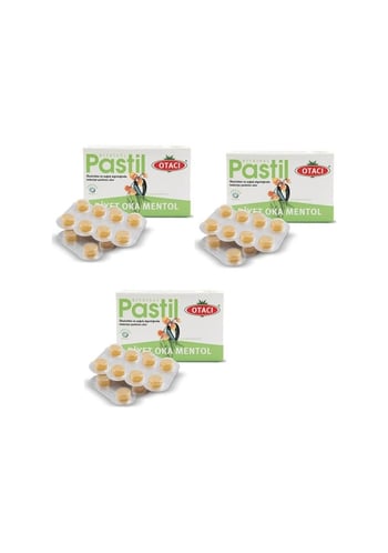 Otacı Pastil Oka Mentol  16'lı