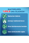 Lysol Antibakteriyel Çamaşır Makinesi Temizleyici Çam ve Okaliptus Ferahlığı 250 ml