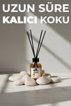 mango oda kokusu, bambu çubuklu koku, mango diffuser, meyveli ortam kokusu, ev kokusu mango, uzun süre kalıcı oda kokusu, bambu çubuklu reed diffuser, mango aromalı koku, ortam parfümü meyveli, dekoratif oda kokusu, ortam kokusu, ev parfümü, ferahlatıcı oda kokuları