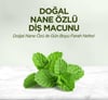 Eyüp Sabri Tuncer Nane Özlü Diş Macunu 90 Ml